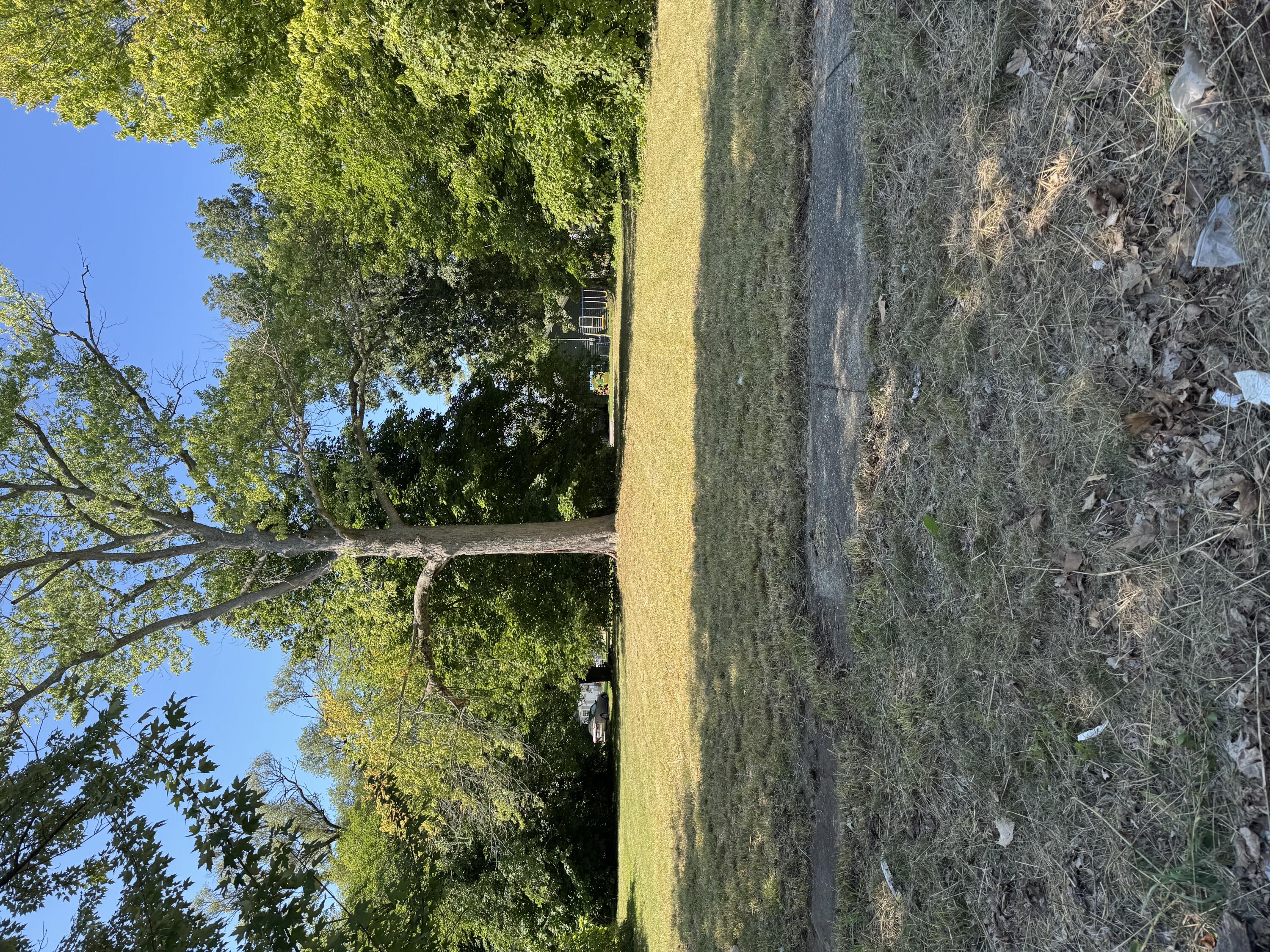 730 Superior Street Benton Harbor, MI 49022 - Photo 1 of 1 Street view