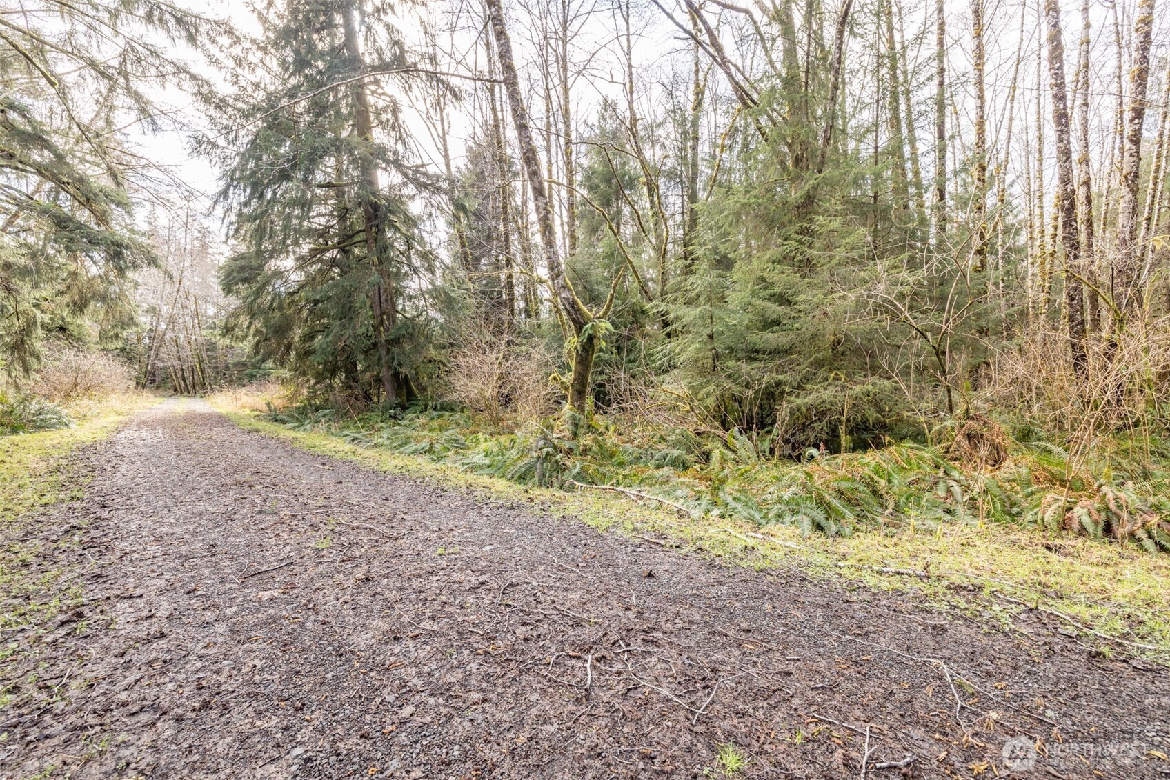 1 Swamp Road Clallam Bay, WA 98326 - Photo 9 of 10