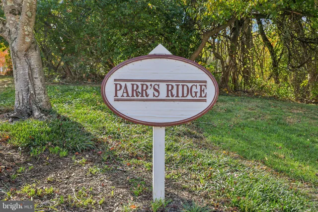 a view of a park with large trees