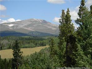 172 Beaver Ridge Road Fairplay, CO 80440 - Photo 1 of 23 Gallery Image 1
