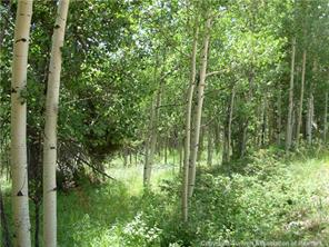 172 Beaver Ridge Road Fairplay, CO 80440 - Photo 2 of 23 Gallery Image 2