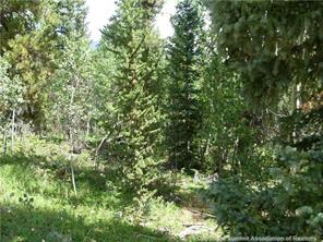 172 Beaver Ridge Road Fairplay, CO 80440 - Photo 11 of 23 Gallery Image 11
