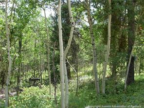 172 Beaver Ridge Road Fairplay, CO 80440 - Photo 12 of 23 Gallery Image 12