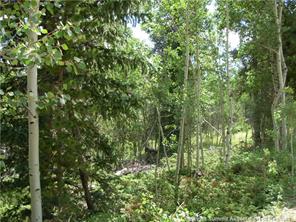 172 Beaver Ridge Road Fairplay, CO 80440 - Photo 13 of 23 Gallery Image 13