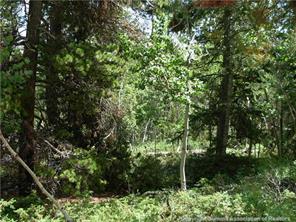 172 Beaver Ridge Road Fairplay, CO 80440 - Photo 14 of 23 Gallery Image 14