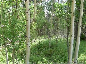 172 Beaver Ridge Road Fairplay, CO 80440 - Photo 16 of 23 Gallery Image 16