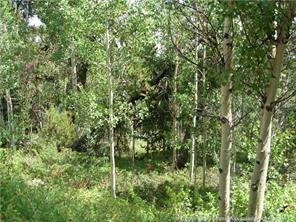 172 Beaver Ridge Road Fairplay, CO 80440 - Photo 17 of 23 Gallery Image 17