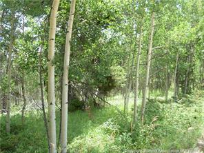 172 Beaver Ridge Road Fairplay, CO 80440 - Photo 18 of 23 Gallery Image 18