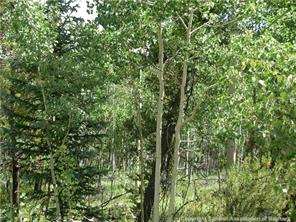 172 Beaver Ridge Road Fairplay, CO 80440 - Photo 19 of 23 Gallery Image 19