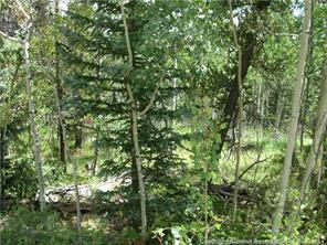 172 Beaver Ridge Road Fairplay, CO 80440 - Photo 20 of 23 Gallery Image 20