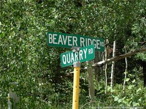 172 Beaver Ridge Road Fairplay, CO 80440 - Photo 3 of 23 Gallery Image 3