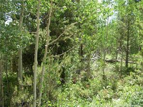 172 Beaver Ridge Road Fairplay, CO 80440 - Photo 21 of 23 Gallery Image 21