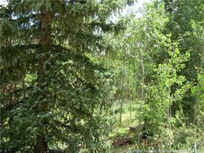 172 Beaver Ridge Road Fairplay, CO 80440 - Photo 22 of 23 Gallery Image 22