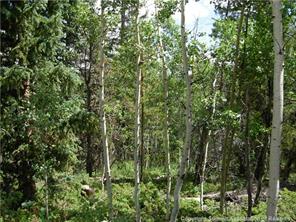 172 Beaver Ridge Road Fairplay, CO 80440 - Photo 23 of 23 Gallery Image 23