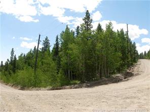 172 Beaver Ridge Road Fairplay, CO 80440 - Photo 4 of 23 Gallery Image 4