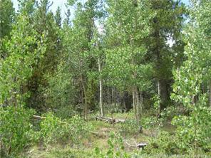 172 Beaver Ridge Road Fairplay, CO 80440 - Photo 5 of 23 Gallery Image 5