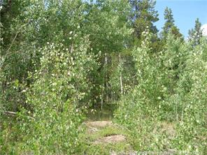 172 Beaver Ridge Road Fairplay, CO 80440 - Photo 6 of 23 Gallery Image 6