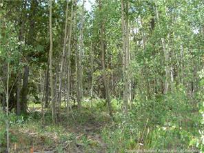 172 Beaver Ridge Road Fairplay, CO 80440 - Photo 7 of 23 Gallery Image 7