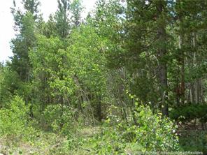 172 Beaver Ridge Road Fairplay, CO 80440 - Photo 8 of 23 Gallery Image 8