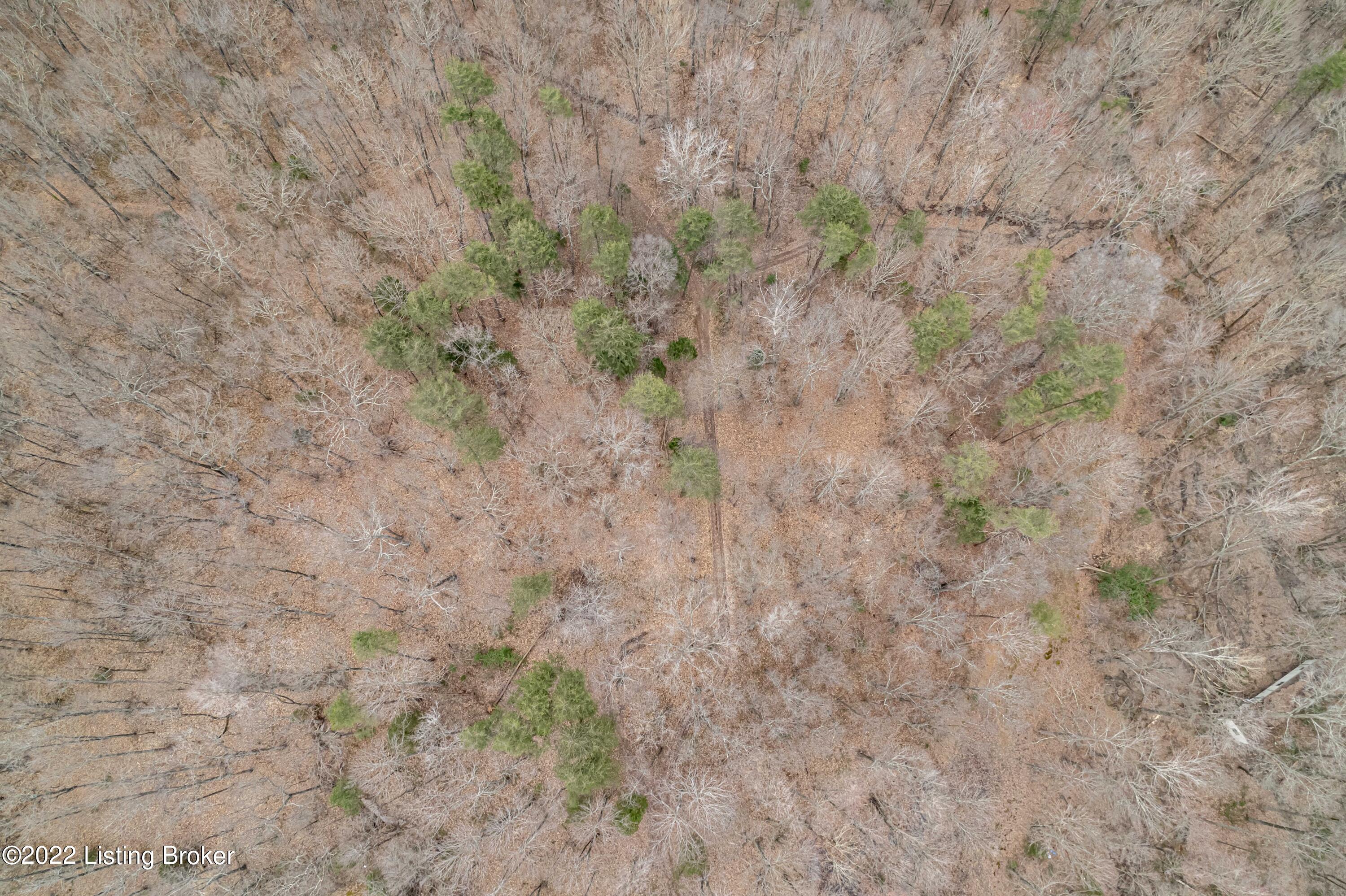 0 Collings Hill Road Lebanon Junction, KY 40150 - Photo 10 of 81 DJI_0708