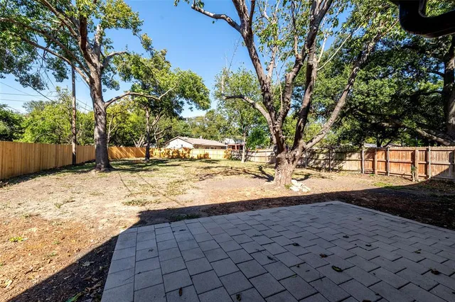 a view of empty space with large trees