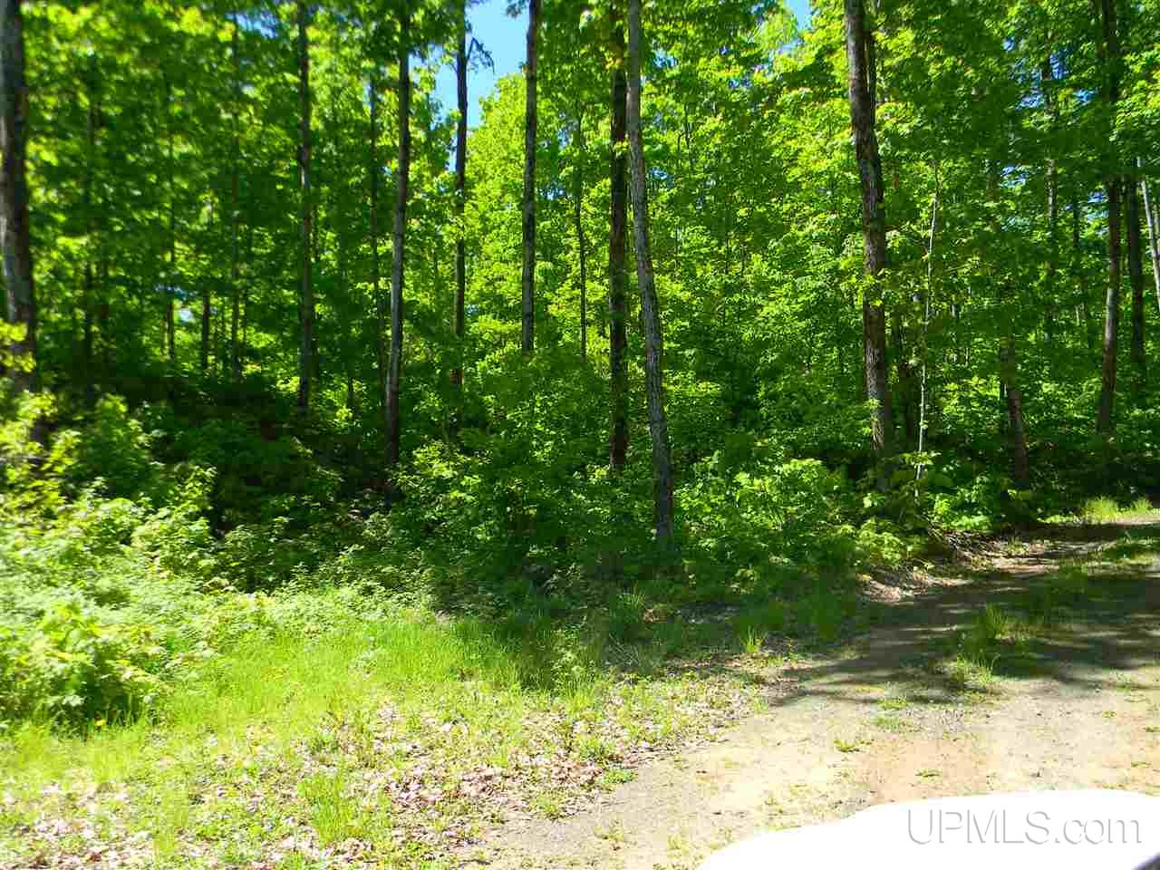Tbd Rauhala Road, Unit LOT 4 COLES CREEK SUBDIV Atlantic Mine, MI 49931 - Photo 13 of 13