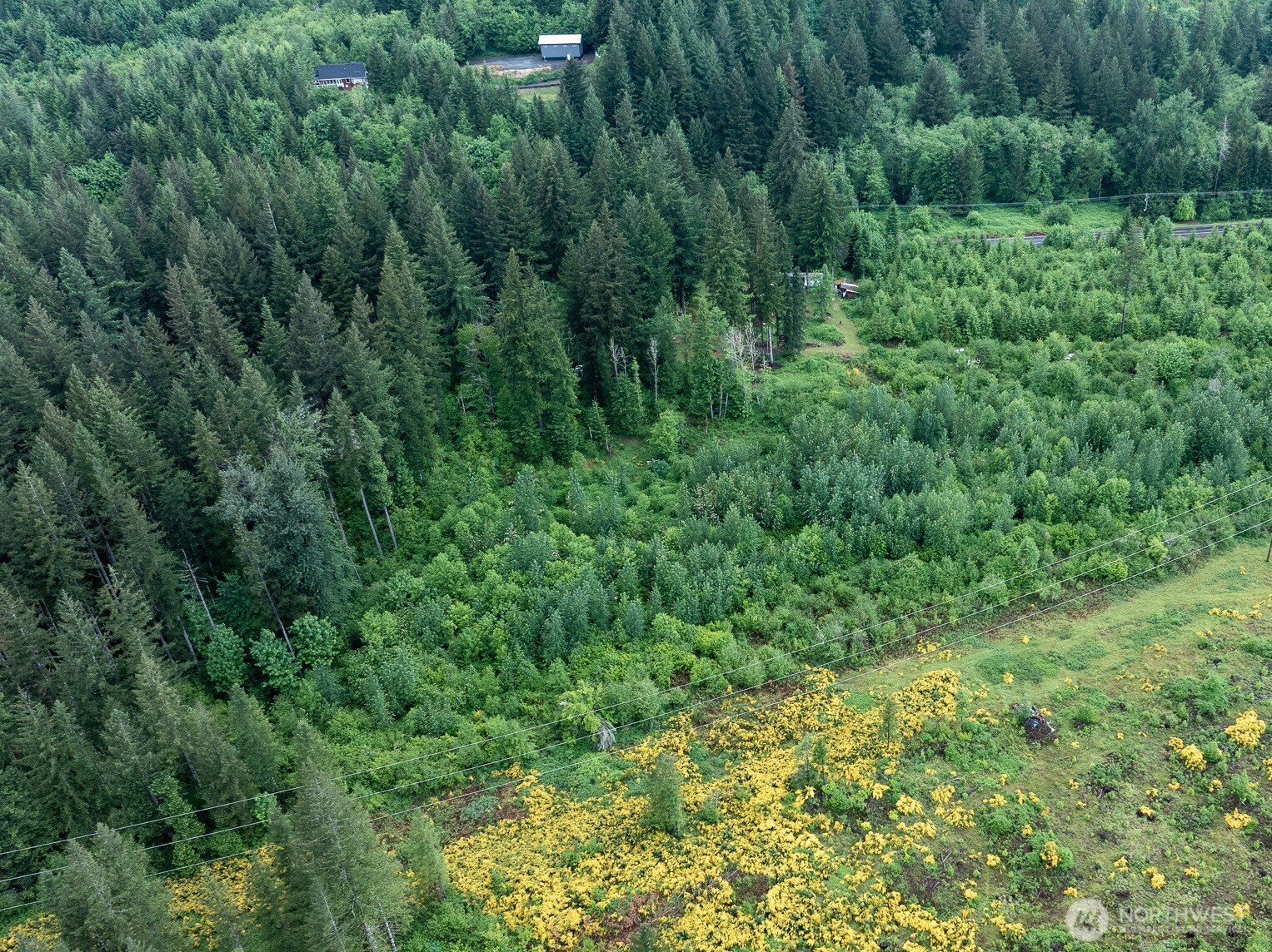 12155 Lewis River Road Ariel, WA 98603 - Photo 11 of 23 Gallery Image 11