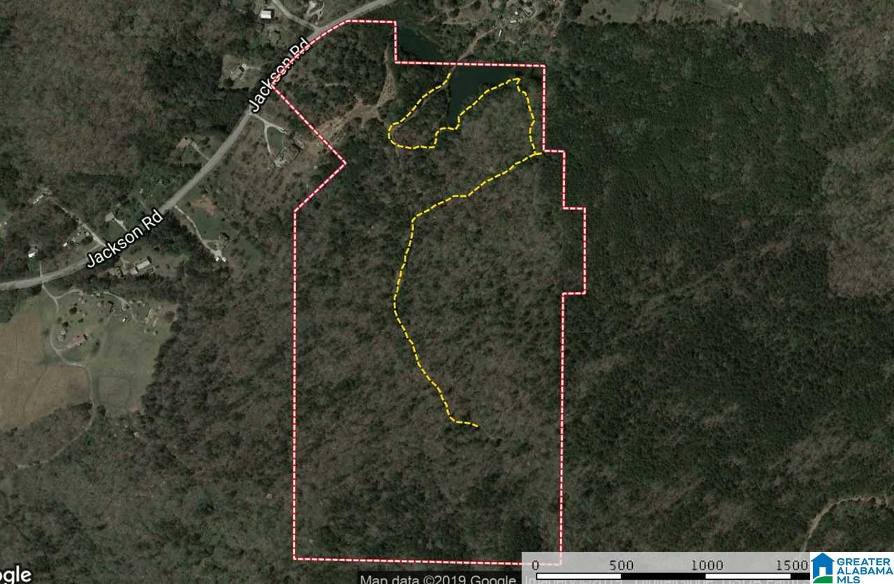 3111 Jackson Road, Unit 75 ACRES Pinson, AL 35126 - Photo 2 of 16