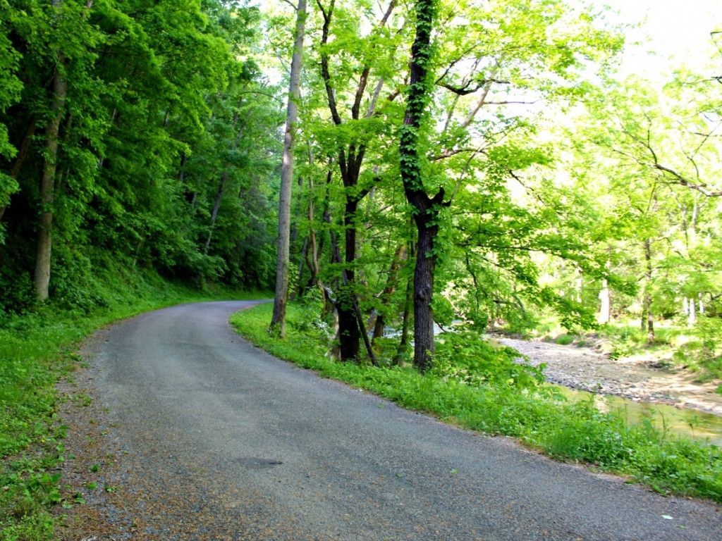 600 Williams Lane Butler, TN 37640 - Photo 13 of 36 Country Roads
