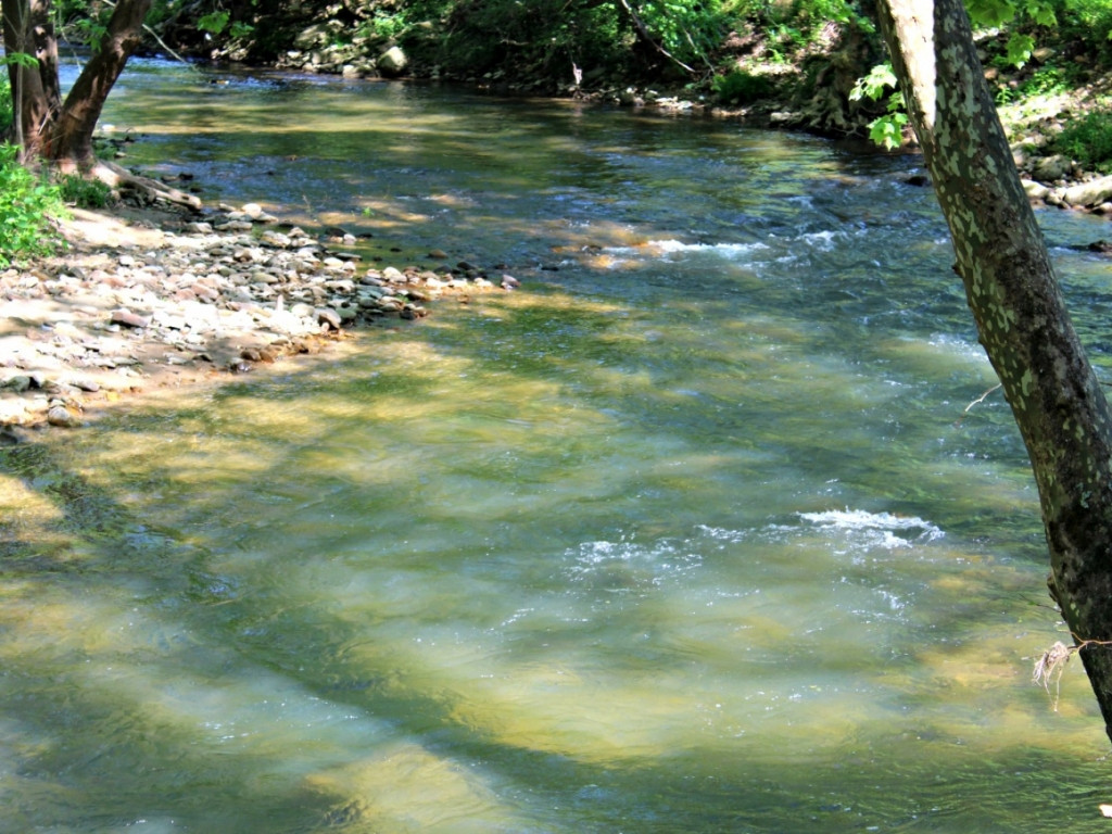 600 Williams Lane Butler, TN 37640 - Photo 8 of 36 Whitewater Rapids