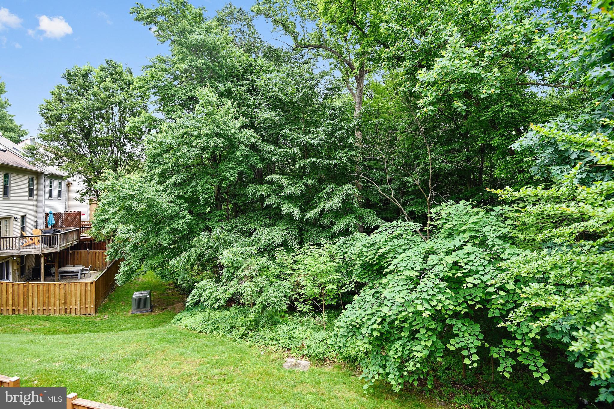 8448 Springfield Oaks Drive Springfield, VA 22153 - Photo 11 of 28 Enjoy the view from the back deck