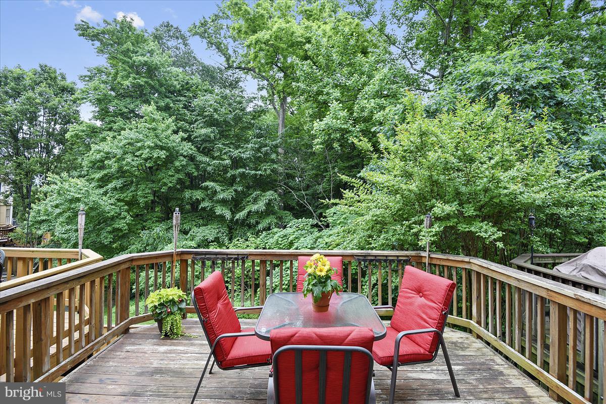 8448 Springfield Oaks Drive Springfield, VA 22153 - Photo 10 of 28 Relax on the deck