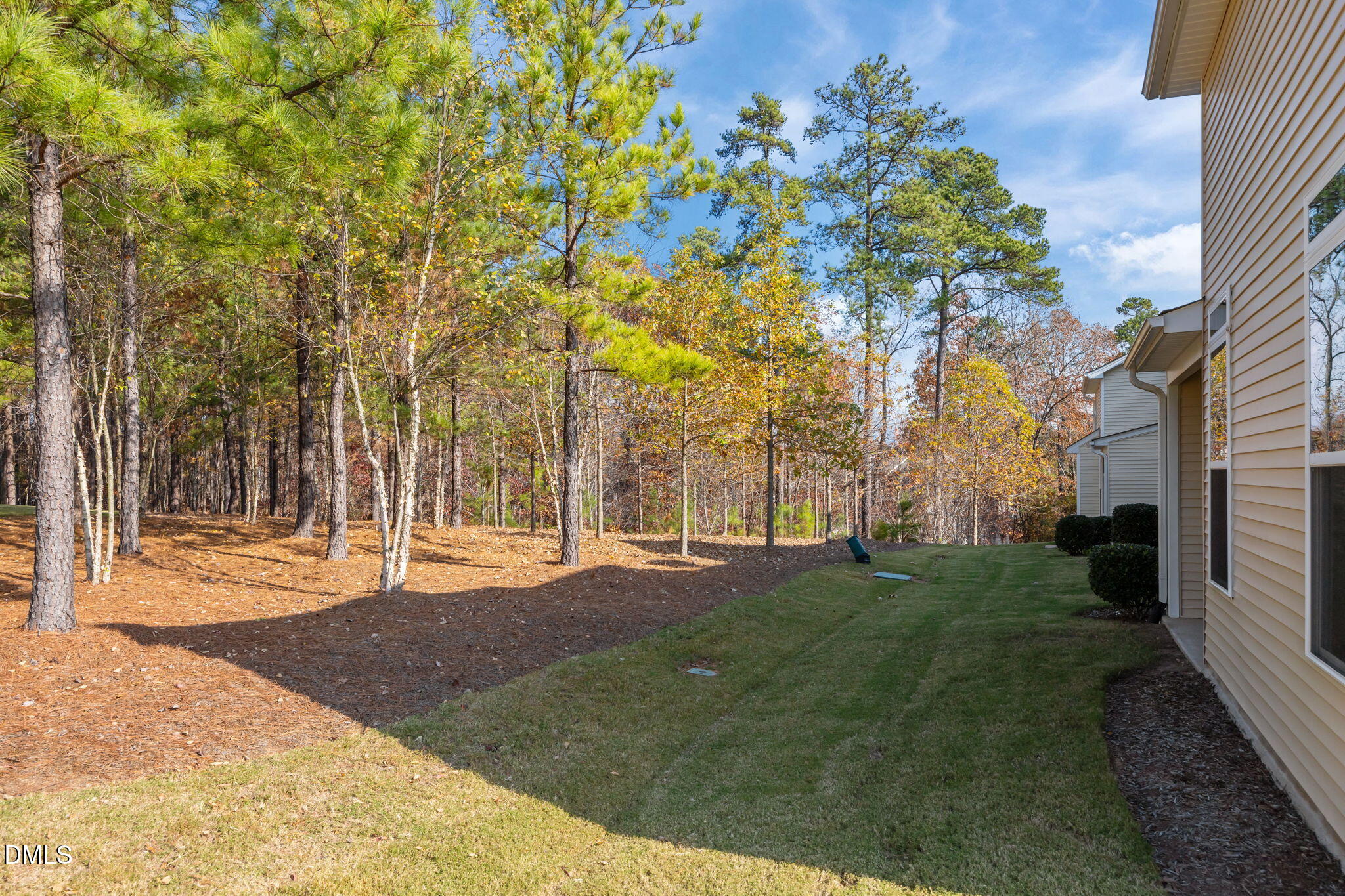 1001 Epiphany Road Morrisville, NC 27560 - Photo 37 of 39 a view of a yard with plants and trees