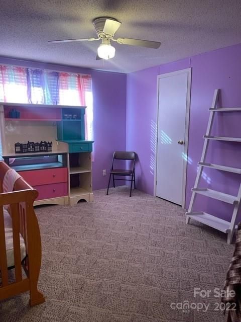 163 Seaboard Road Ellenboro, NC 28040 - Photo 35 of 43 Gallery Image 35