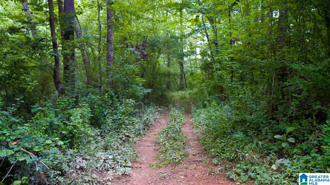 180 Gibson Road, Unit 76 / ACRES OFF GIBSON R Columbiana, AL 35051 - Photo 42 of 50