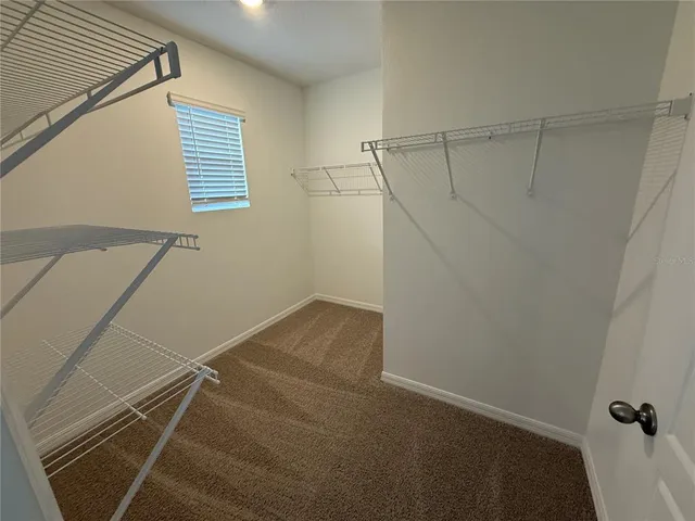 a view of a room with racks on the wall