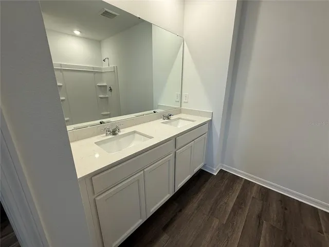 a bathroom with a sink and a mirror
