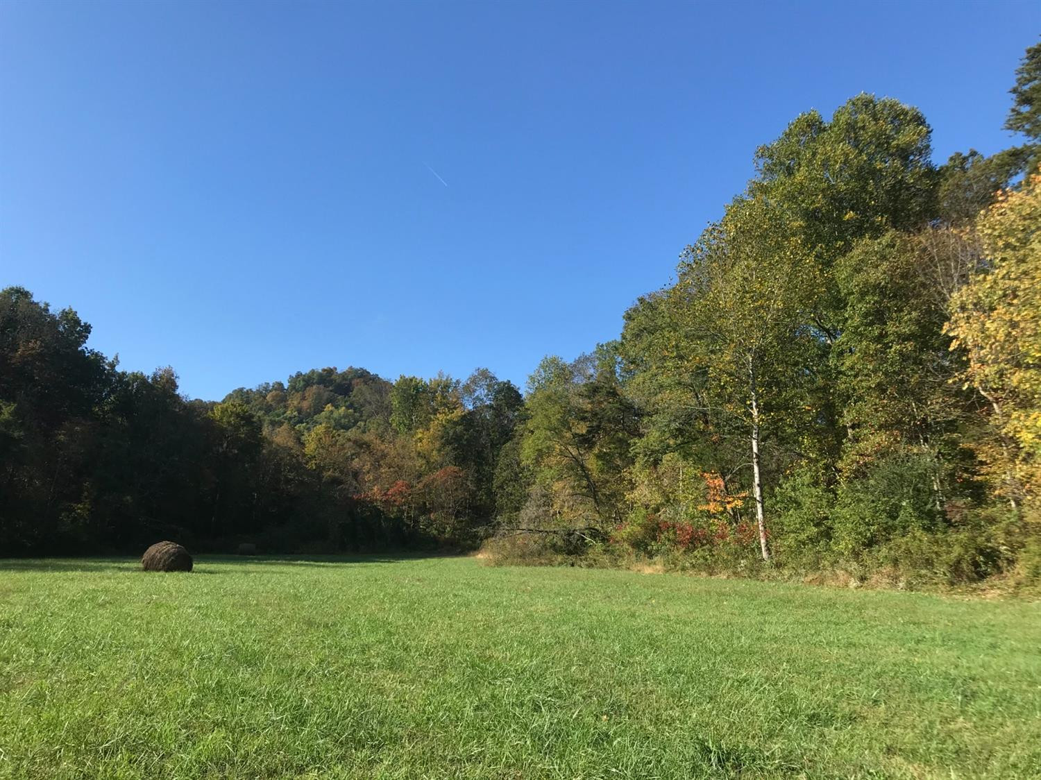 0 Little Rock Road Irvine, KY 40336 - Photo 3 of 20 Photo 3