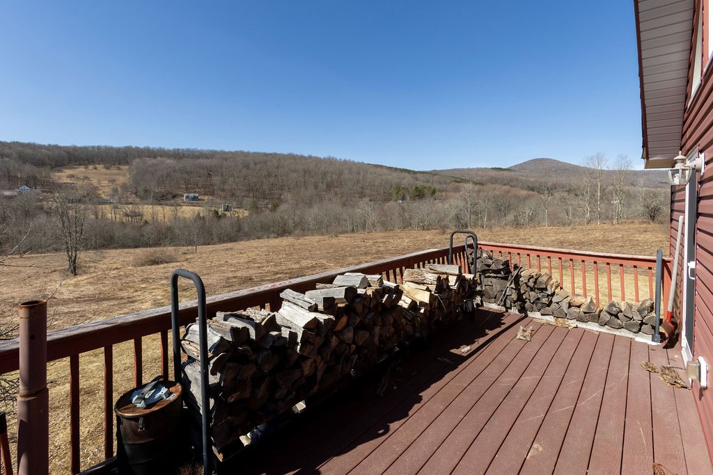 359 Squire Hill Road Roxbury, NY 12474 - Photo 35 of 44