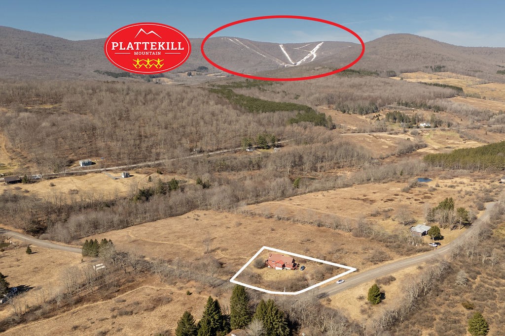 359 Squire Hill Road Roxbury, NY 12474 - Photo 4 of 44