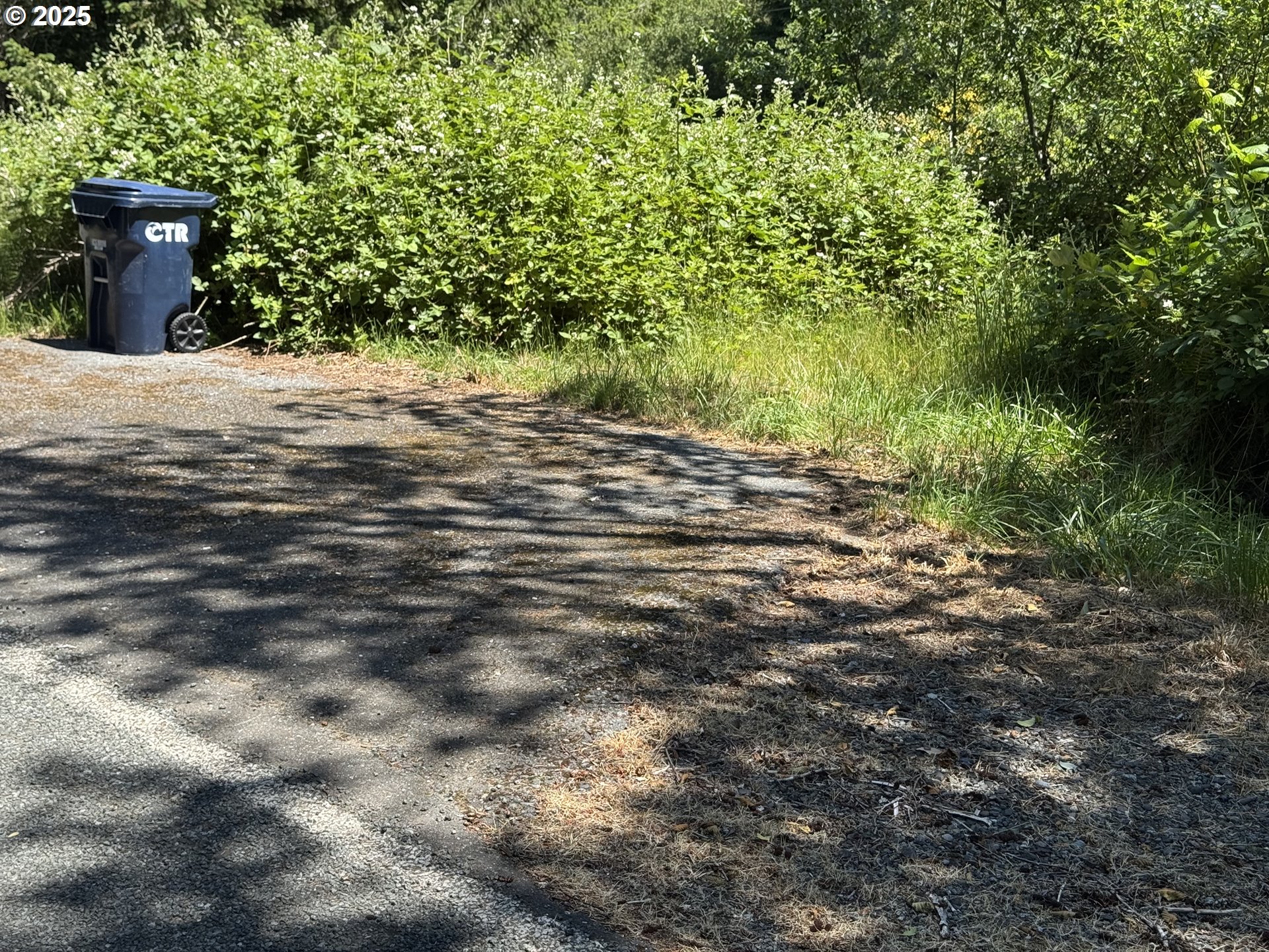 Cedar Valley Road Gold Beach, OR 97444 - Photo 3 of 10 a view of a backyard of the house