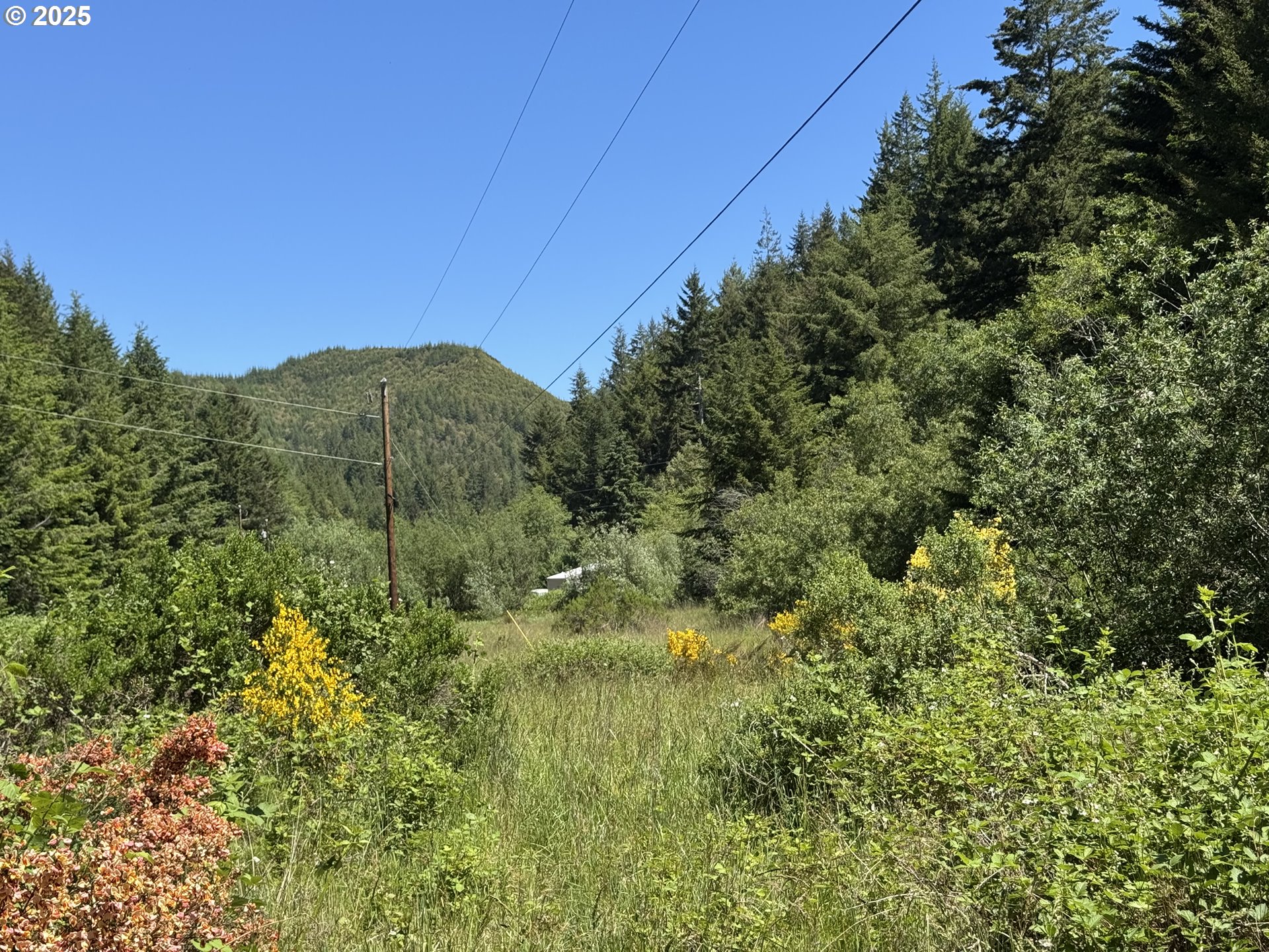 Cedar Valley Road Gold Beach, OR 97444 - Photo 6 of 10 a view of a house with a yard