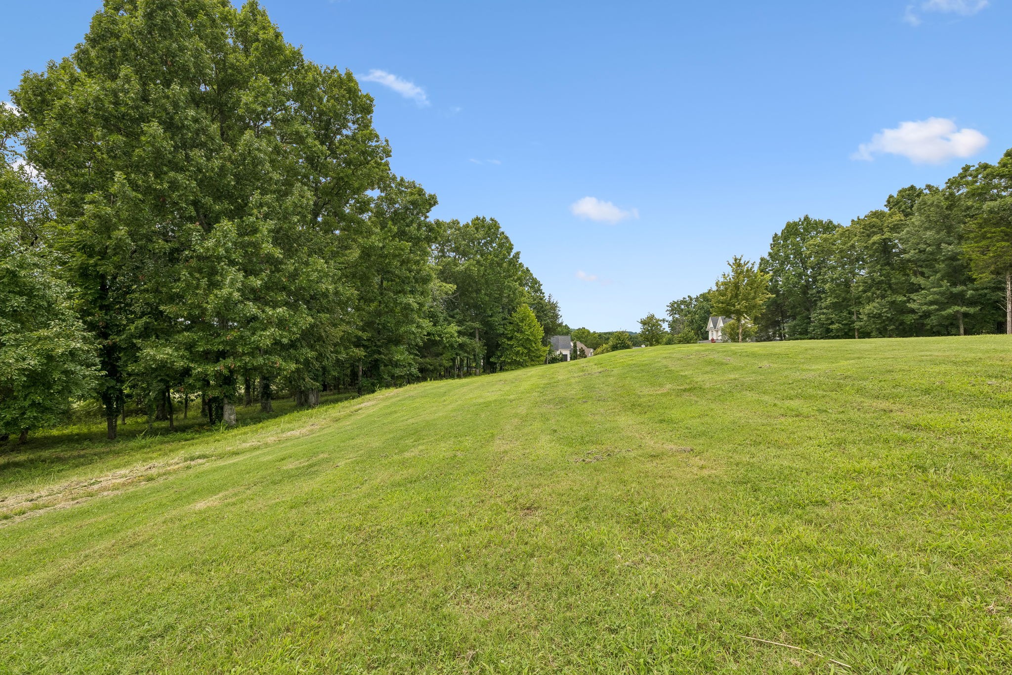 7505 Whiskey Road College Grove, TN 37046 - Photo 28 of 33 Gallery Image 28