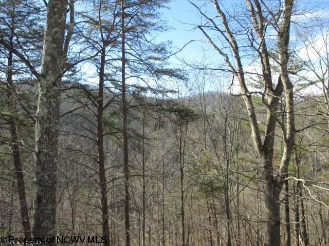 354 Big Run Road Napier, WV 26631 - Photo 20 of 20 Gallery Image 20