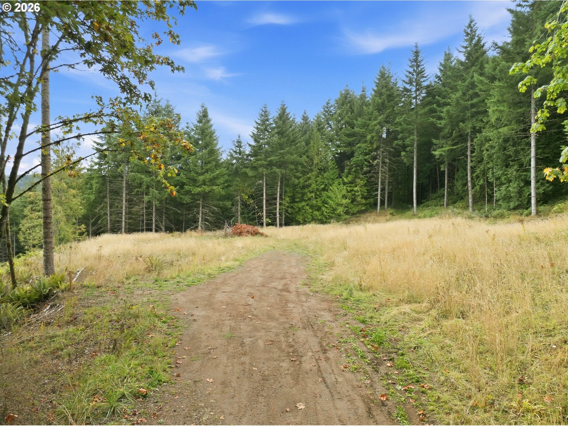 39323 Southwest Gibson Road Gaston, OR 97119 - Photo 1 of 27 Gallery Image 1