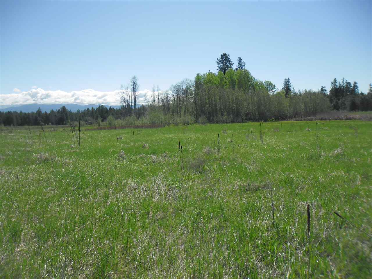 Xxx North Mill Road Deer Park, WA 99006 - Photo 1 of 8 Gallery Image 1