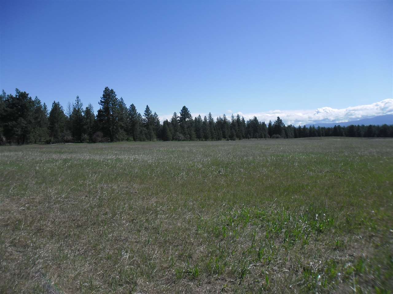 Xxx North Mill Road Deer Park, WA 99006 - Photo 3 of 8 Gallery Image 3