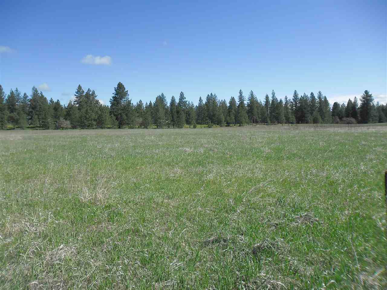 Xxx North Mill Road Deer Park, WA 99006 - Photo 6 of 8 Gallery Image 6