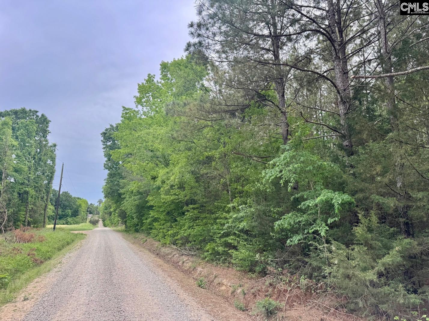 0 Sumpter Road Johnston, SC 29832 - Photo 2 of 8