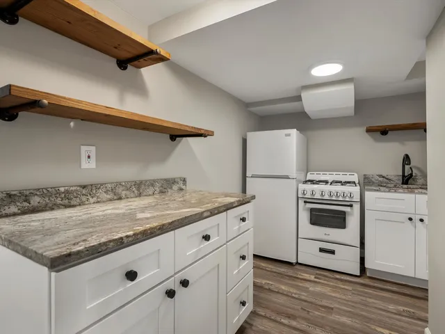 $3,750,000 | 1136 Prospect Street, Ann Arbor, MI 48104